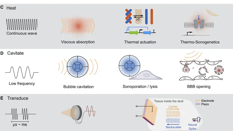 Ultrasound Technologies for Imaging and Modulating Neural Activity