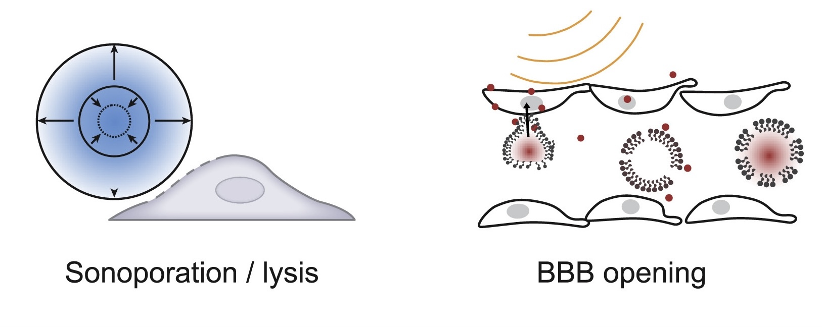 Ultrasound Technologies for Imaging and Modulating Neural Activity